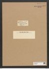 Eunotia blephas Ehrenb. (de-Toni-Nr.: Genus 104, Species 3182) Zeichnungen Sammlung Grunow Nr. 6535 (NHMW-BOT-W0375258)
